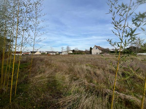 EXCLUSIVITÉ - LES MONTILS