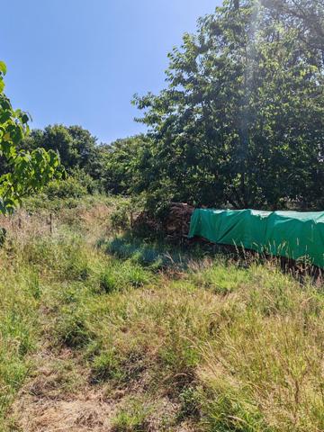 Belle petite maison à finir de rénover