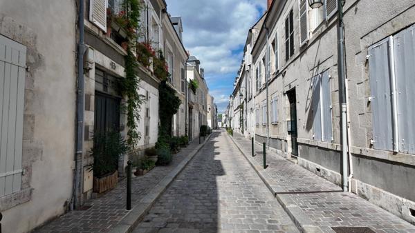 Appartement Duplex T2 ORLEANS (45)