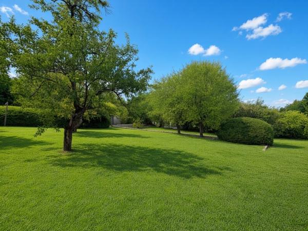 Vente / Maison à Saint-Pierre-lès-Nemours (77140)