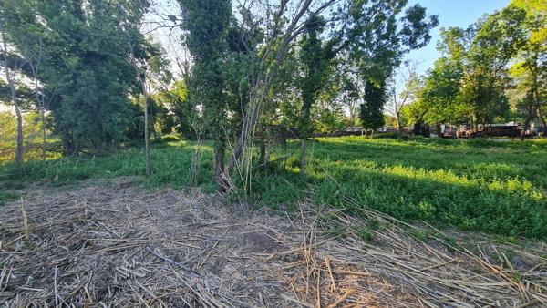 Terrain