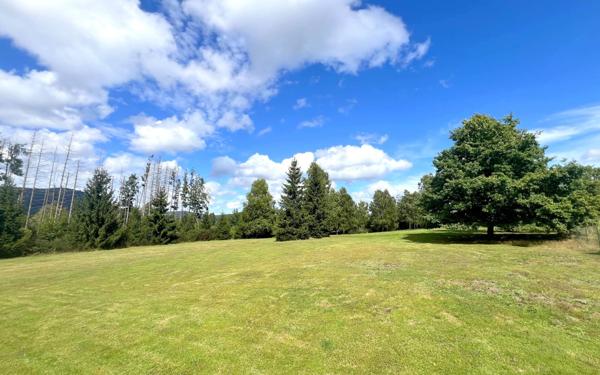 Maison à vendre    4 pièces • 119 m2 Plaine