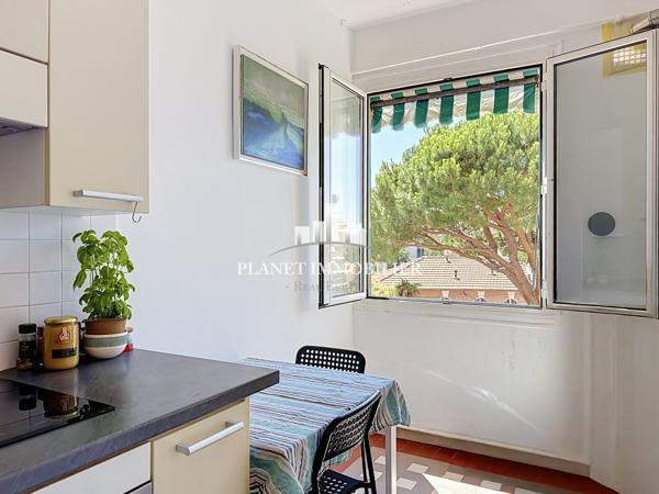 JUAN LES PINS PINEDE STUDIO