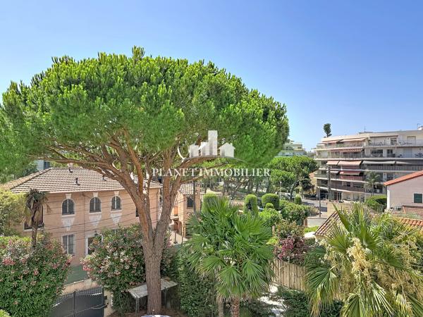 JUAN LES PINS PINEDE STUDIO