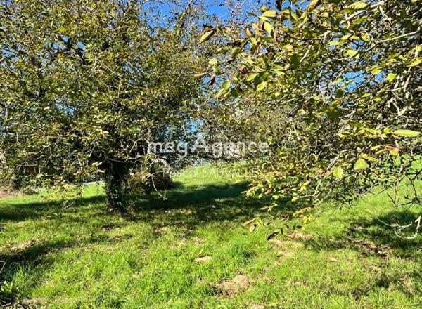 Terrain à CHATEAU-L'EVEQUE, 24460 - 950m²