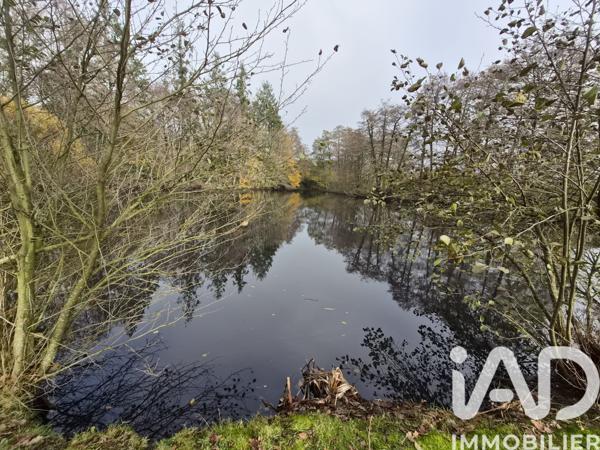 Terrain à vendre 5 368 m² Nieul-le-Dolent