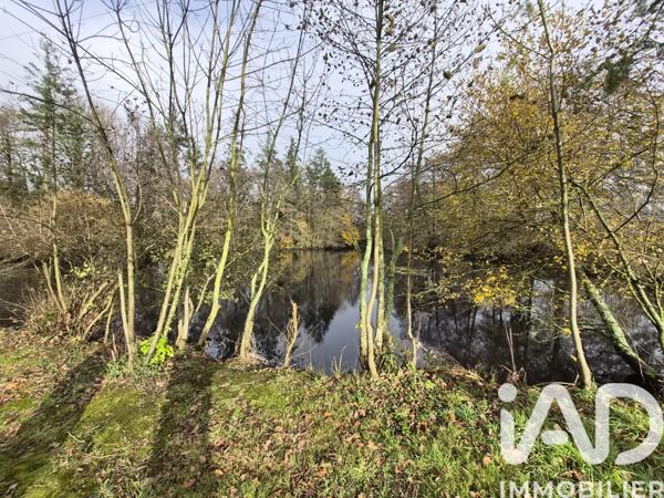 Terrain à vendre 5 368 m² Nieul-le-Dolent