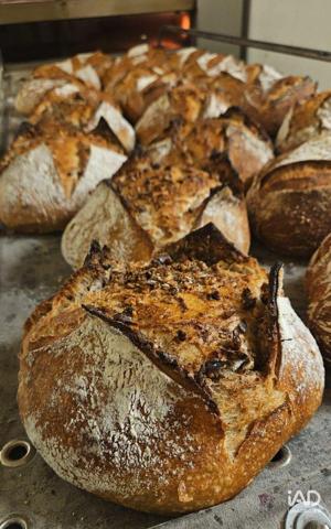 Boulangerie à vendre 80 m² Maisse