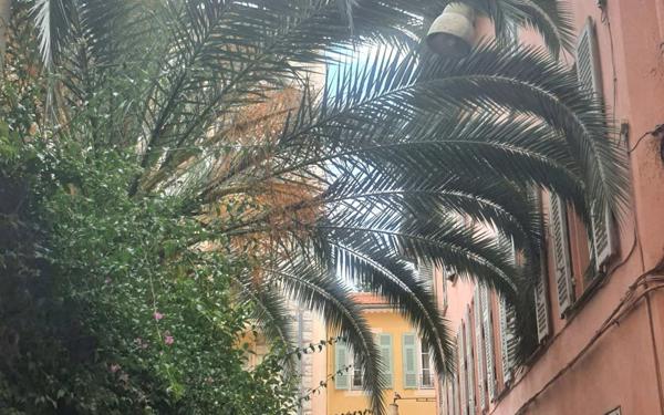 Appartement à vendre    2 pièces • 51,20 m2 Nice