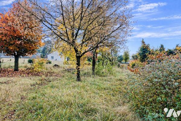 BOURGUEIL
MAISON RÉNOVÉE AVEC SOUS-SOL COMPLET – TERRAIN ARBORÉ DE 3 194 m²