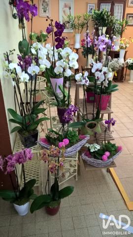 Cadeaux, Fleurs​ à vendre 90 m² Lons-le-Saunier