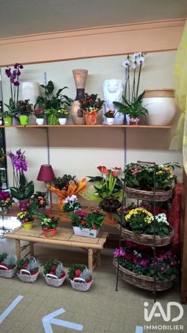 Cadeaux, Fleurs​ à vendre 90 m² Lons-le-Saunier