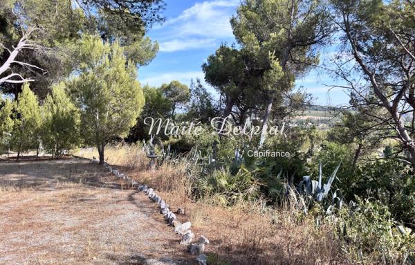 BÉDARRIDES – Maison à vendre 135 m² - piscine - 2 500 m² de terrain – 2 logements