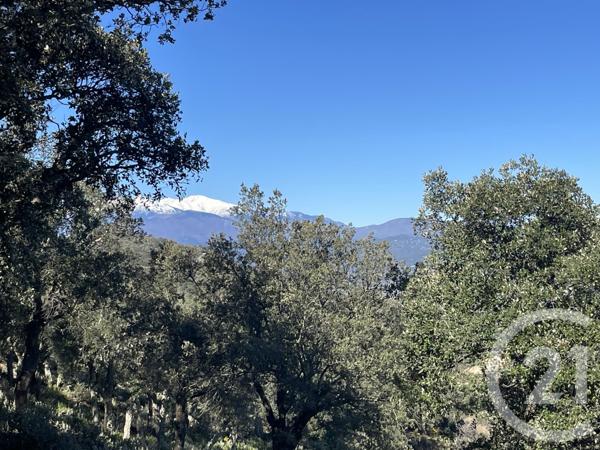 Maison à vendre  6 pièces - 160 m2 LE BOULOU - 66