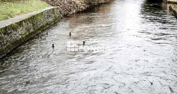 À vendre Immeuble - Corbie 80800