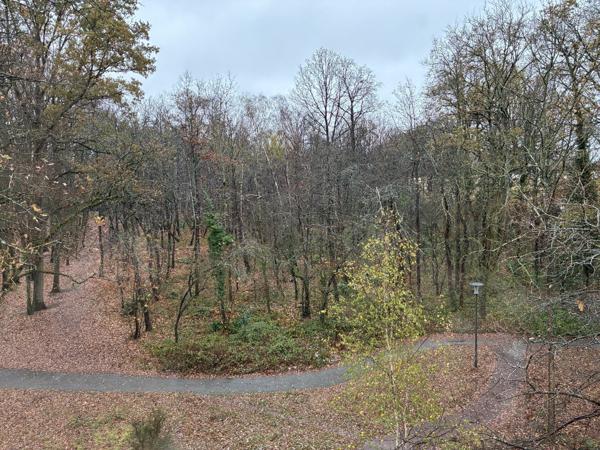 Appartement à MAUREPAS (78310)