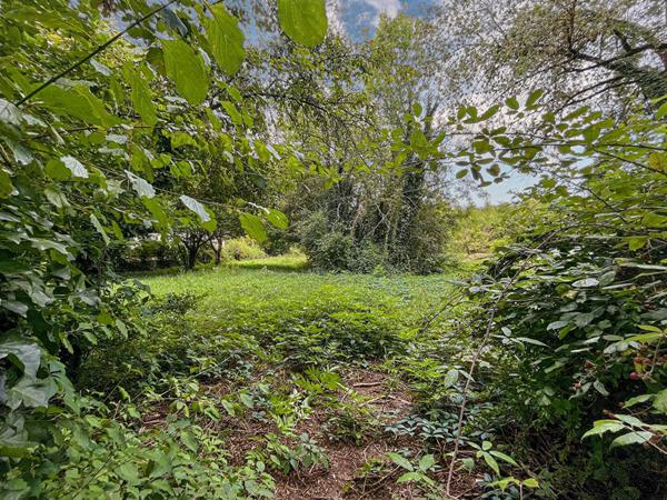 Maison de maître grand Jardin et puits, proche commerces.