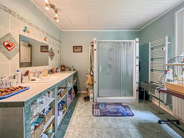 Maison de maître grand Jardin et puits, proche commerces.