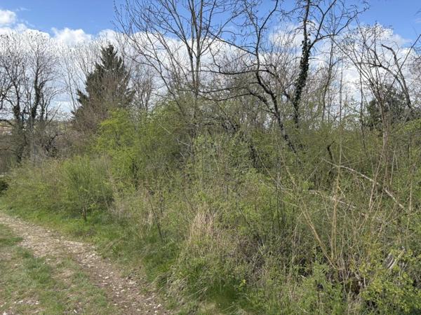 Vente / Terrain constructible