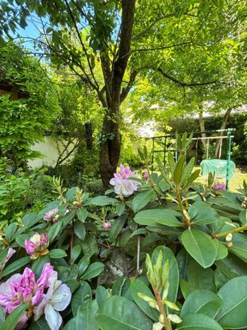 DEMEURE DE CARACTÈRE  hyper centre avec jardin et garage
