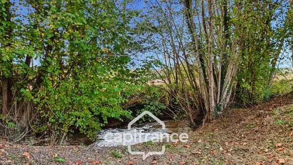 Maison type longère à Rénover 20 pièces (47)