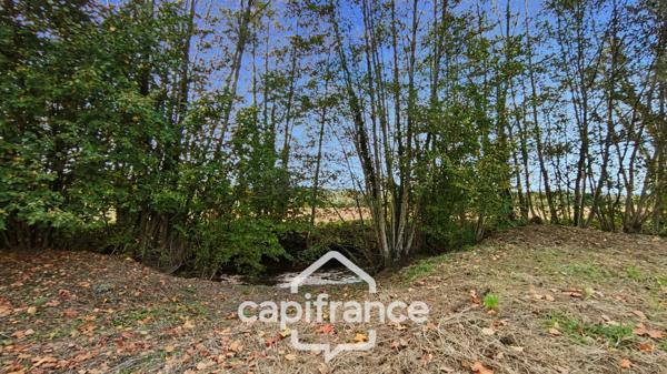 Maison type longère à Rénover 20 pièces (47)