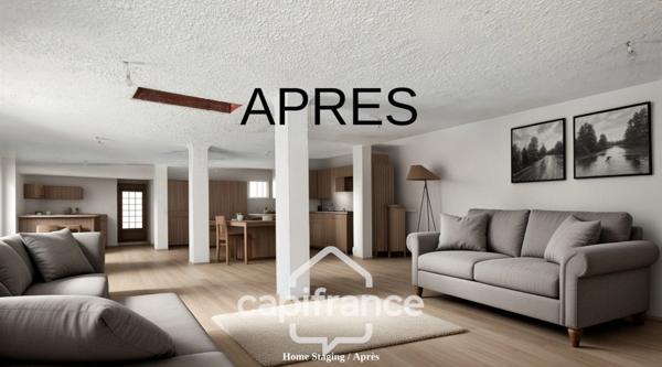 Maison type longère à Rénover 20 pièces (47)