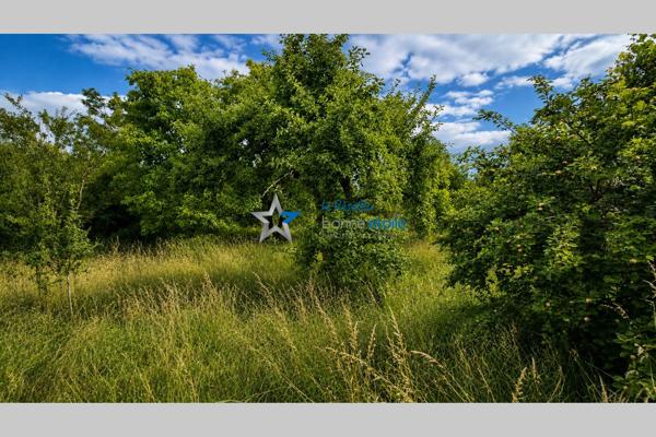 Bologne terrain 3545 m 2
