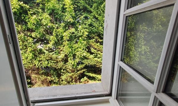 Appartement à vendre 2 pièces COGNAC (16)