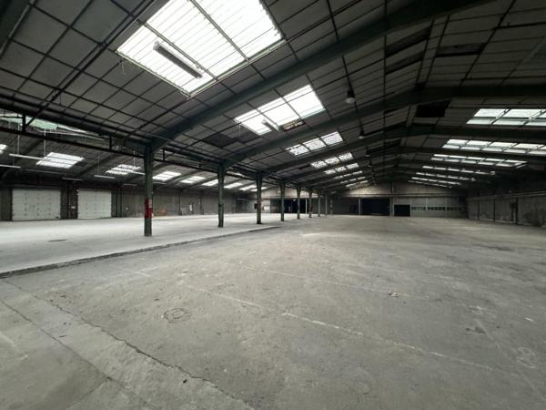 Vente / Local activité