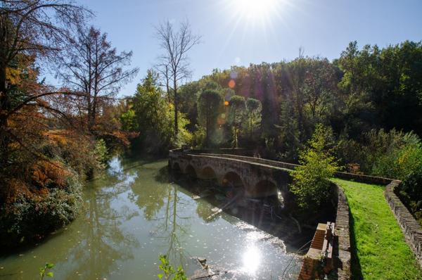 Vente Moulin Castelsarrasin 10 Pièces 310 m²