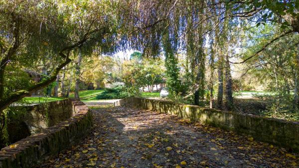 Vente Moulin Castelsarrasin 10 Pièces 310 m²