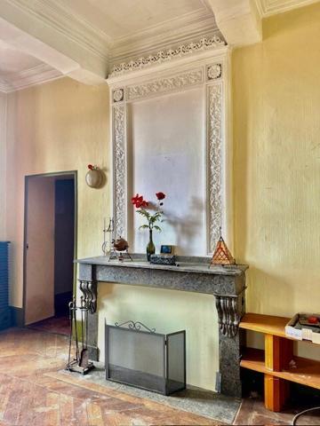 Jegun centre - Maison de maître avec jardin, garages et piscine