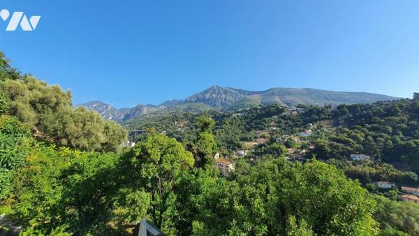 VASTE DOMAINE MENTON.