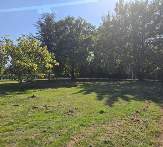 TERRAIN PLAT ET CLOTURE