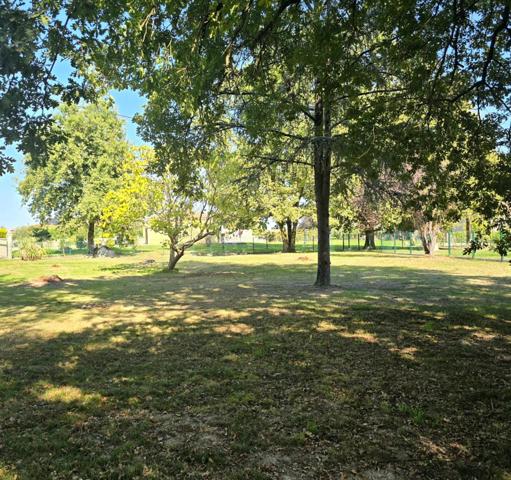 TERRAIN PLAT ET CLOTURE