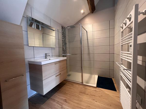 ENSEMBLE IMMOBILIER - LE-CONTROIS-EN-SOLOGNE 41400