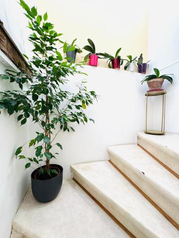 Maison 4 pièces 86.5 m2