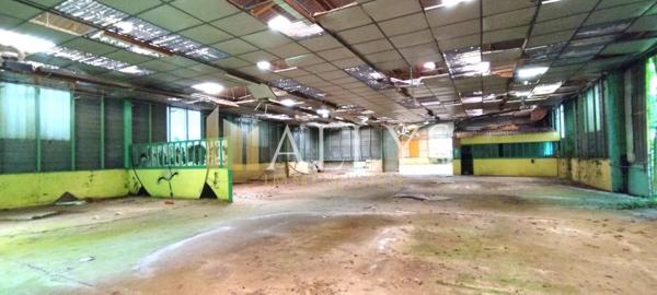 Hangar 990m² sur terrain 9000m²