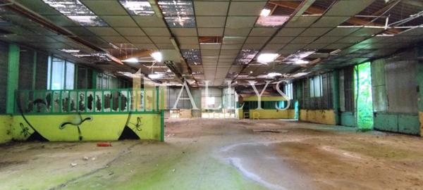 Hangar 990m² sur terrain 9000m²