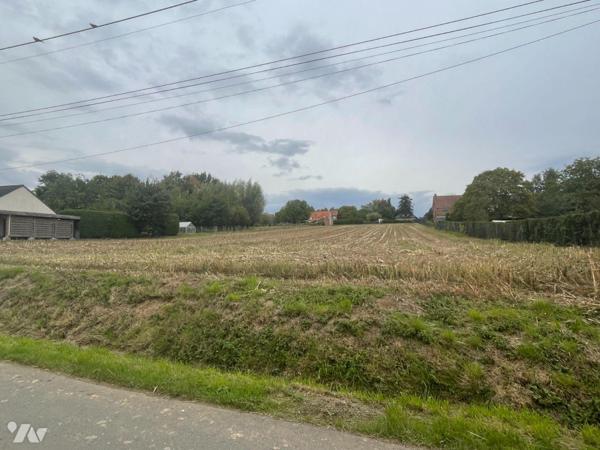 Terrains à vendre à AIRE-SUR-LA-LYS, hameau de RINCQ dans le Pas-de-Calais (62).

Deux parcel...