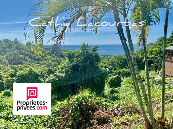 URGENT  - Terrain constructible vue mer - Bouillante 7709 m2