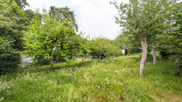 MAISON sur cave 130 m² - 5 CHAMBRES - TERRAIN 5 400 m² - PONT DE BUIS LES QUIMERCH (29)