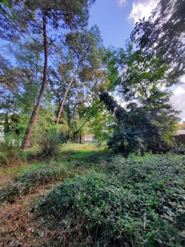 Langon proche commodités