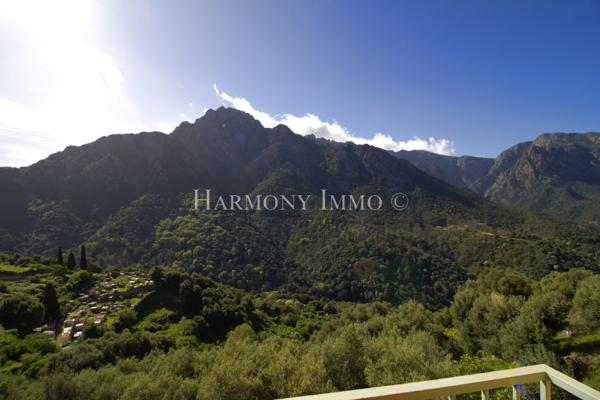 Exclusivité : Immeuble Ota Vue Montagne Imprenable Fort Potentiel Locatif