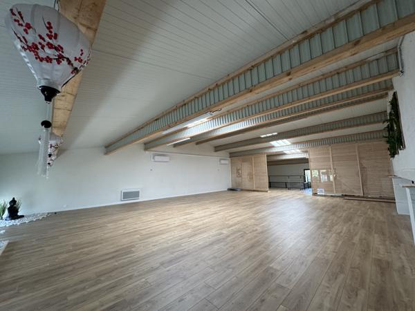 Local Commercial 5 pièces - 247 m²