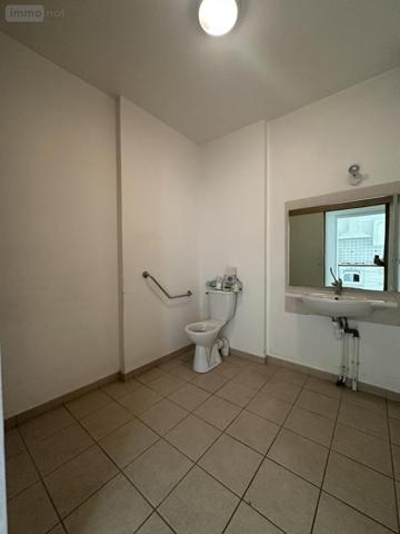 Maison à vendre à Plouay dans le Morbihan (56240), ref : 56029-1384