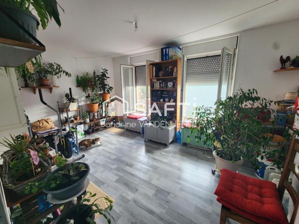 Spécial investisseur!