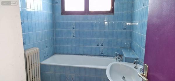 Achat - Maison Châtillon-sur-Indre 36700 12 pièces 315 m 2 857 m 2