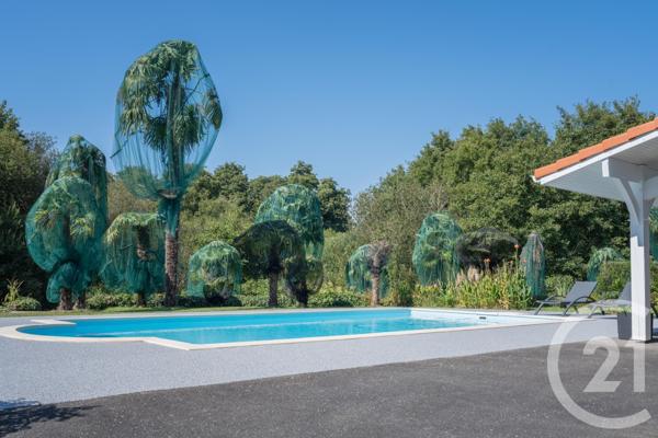 Maison à vendre  7 pièces - 217 m2 BENESSE MAREMNE - 40